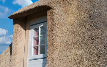 Portfield thatch roof disadvantages