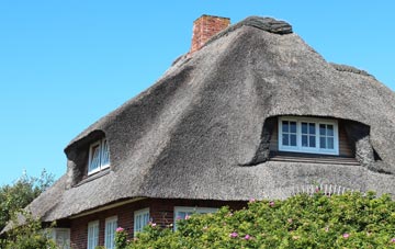 thatch roofing Portfield