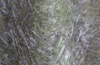 Portfield fibreglass roof work